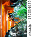 千本鳥居をのぼる 132634989