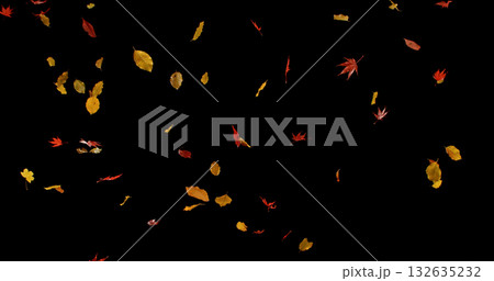 Falling Autumn Leaves. Isolated on Black Background. Still for Seasonal Design, Overlay Effects, or Visual Storytelling. Falling Autumn Leaves. Isolated on Black Background. Still for Seasonal Design, Overlay Effects, or Visual Storytelling. 132635232