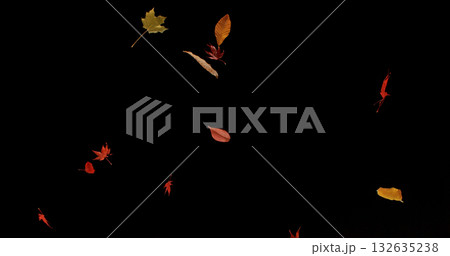 Falling Autumn Leaves. Isolated on Black Background. Still for Seasonal Design, Overlay Effects, or Visual Storytelling. Falling Autumn Leaves. Isolated on Black Background. Still for Seasonal Design, Overlay Effects, or Visual Storytelling. 132635238