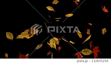 Falling Autumn Leaves. Isolated on Black Background. Still for Seasonal Design, Overlay Effects, or Visual Storytelling. Falling Autumn Leaves. Isolated on Black Background. Still for Seasonal Design, Overlay Effects, or Visual Storytelling. 132635250