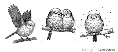 冬の枝にとまるシマエナガのペン画セット、Long-tailed Tit Pen Drawing 冬の枝にとまるシマエナガのペン画セット、Long-tailed Tit Pen Drawing 132635649
