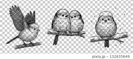一組長尾山雀棲息在冬季樹枝上的鋼筆畫，長尾山雀鋼筆畫 132635649