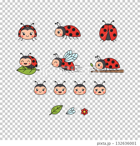 Set of Ladybug character. illustration design. Set of Ladybug character. illustration design. 132636001