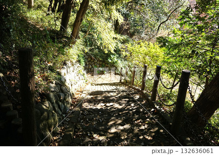 源氏山公園　ハイキングコース 132636061