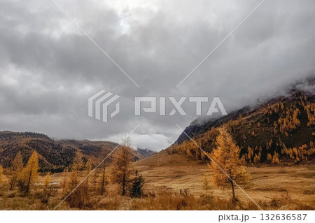 Autumn colorful foothills with yellow larches. 132636587
