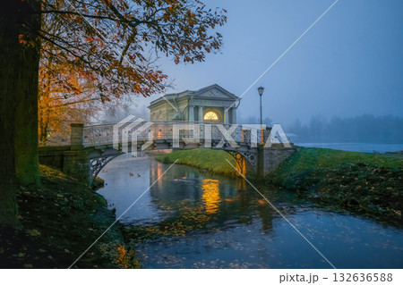 Mystical view of the night park, Gatchina. 132636588