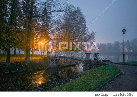 mystical view of the autumn park at night mystical view of the autumn park at night 132636589