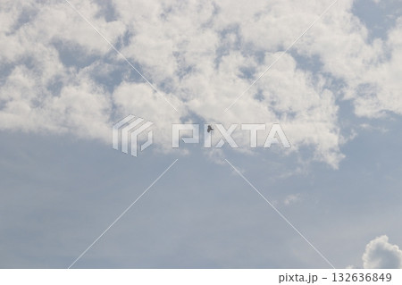 トンビ トンビ 132636849