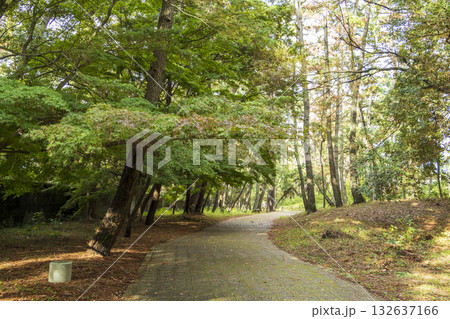 沼津御用邸記念公園の秋 132637166