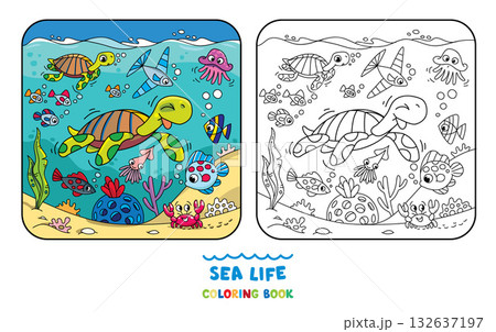 Sea theme. Turtle coloring book. Kids vector Sea theme. Turtle coloring book. Kids vector 132637197