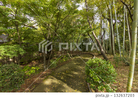 沼津御用邸記念公園の秋 132637203