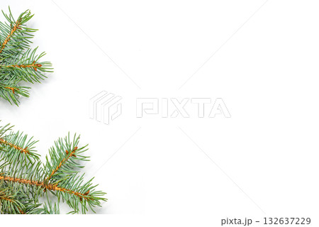 Pine branches covering the left side of a white background, forming a natural winter border. Ideal for minimalist eco designs or Christmas cards. Pine branches covering the left side of a white background, forming a natural winter border. Ideal for minimalist eco designs or Christmas cards. 132637229