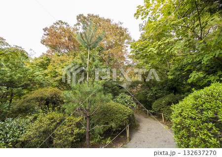 楽寿園の初秋 楽寿園の初秋 132637270