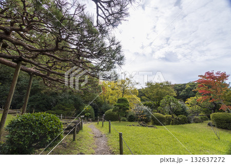 楽寿園の初秋 楽寿園の初秋 132637272