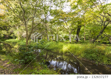 楽寿園の初秋 132637277