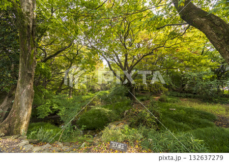 楽寿園の初秋 132637279