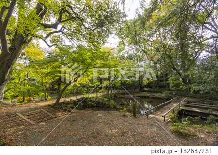 楽寿園の初秋 楽寿園の初秋 132637281