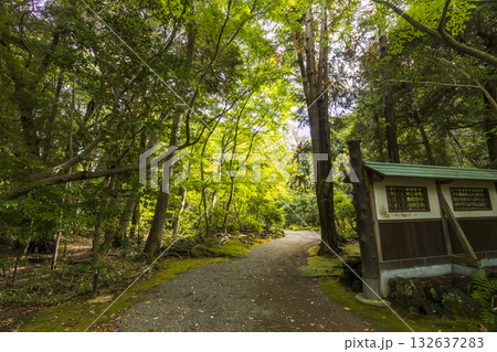 楽寿園の初秋 132637283