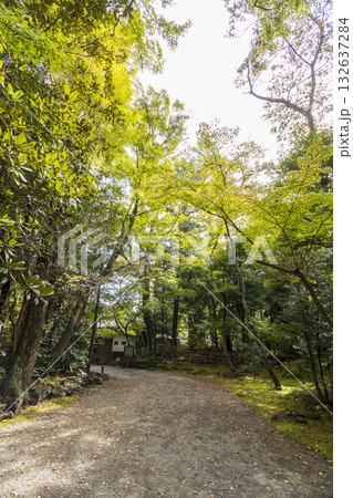 楽寿園の初秋 132637284