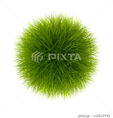 Vibrant Green Grass Sphere Isolated on White Vibrant Green Grass Sphere Isolated on White 132637745
