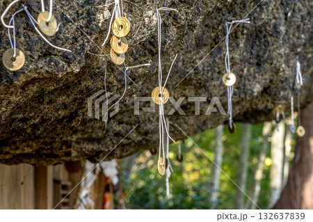 縁結びの神様~三石神社~ 縁結びの神様~三石神社~ 132637839
