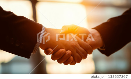 温かな光の中で交わされる握手、信頼と契約の象徴 132637867