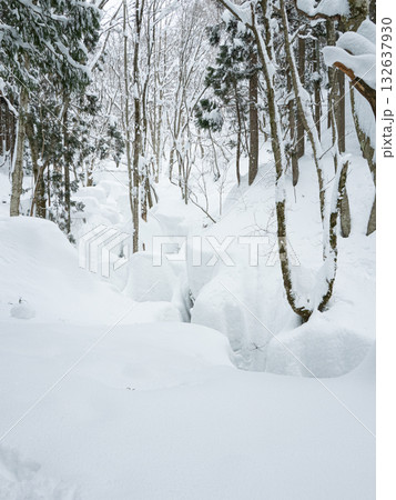 岩井滝までの雪景色 岩井滝までの雪景色 132637930