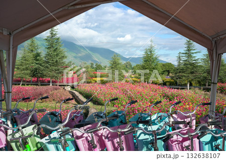 Flower farm Flower farm 132638107