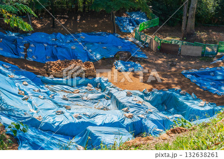 小牧山城、発掘調査が続く織田信長築城の石の要塞〈愛知県小牧市〉 132638261