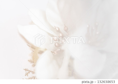 クリスマスリース・冬 イメージ 132638653