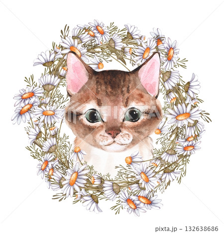 Charming watercolor illustration of tabby kitten cat face surrounded by chamomile daisy flowers. 132638686