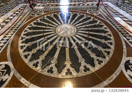 The pavement of Siena cathedral, Siena, Italy 132639043