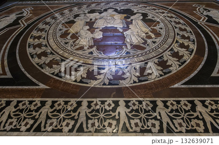 The pavement of Siena cathedral, Siena, Italy 132639071