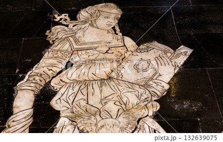 The pavement of Siena cathedral, Siena, Italy 132639075