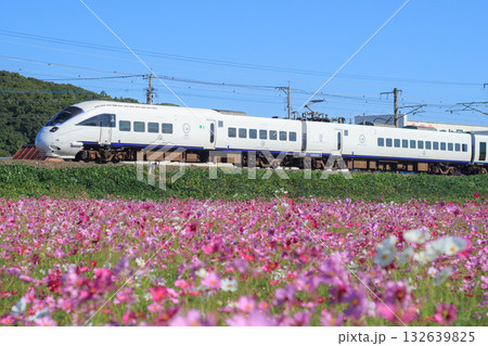 コスモス畑と885系特急「ソニック」(JR九州) コスモス畑と885系特急「ソニック」(JR九州) 132639825