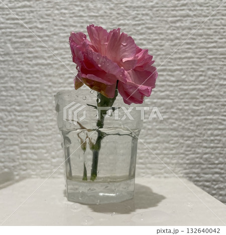 花瓶に挿したカーネーション 花瓶に挿したカーネーション 132640042