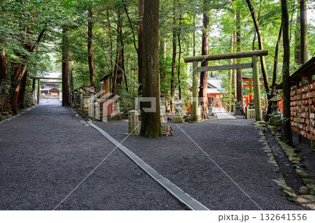 椿大神社の参道 椿大神社の参道 132641556