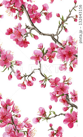 鮮やかなピンクの桜(桃)と茶色の枝のイラスト素材 鮮やかなピンクの桜(桃)と茶色の枝のイラスト素材 132643156