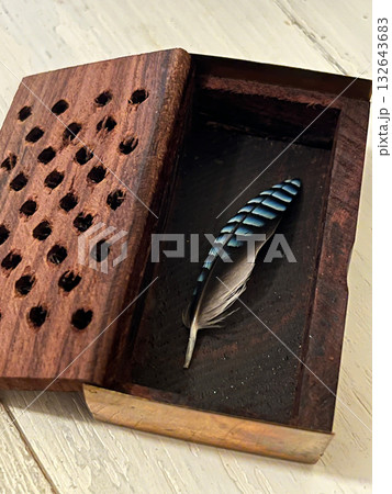 自然からの贈り物 — カケスの美しい羽 132643683