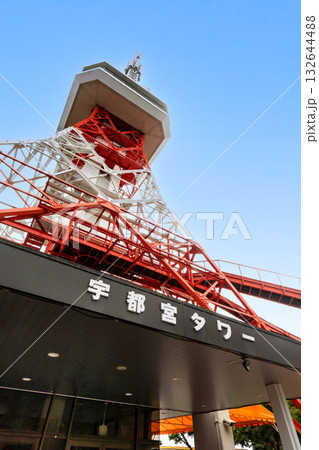 栃木県八幡山公園の宇都宮タワー 132644488