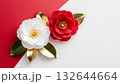 紅白の椿の花のある背景素材 132644664