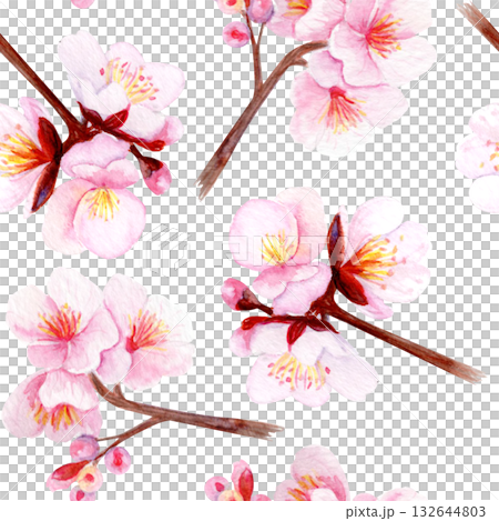 Cherry blossom branch with delicate pink petals seamless pattern. Hand-painted watercolor clip art isolated on white, perfect for spring decor, wedding invitations, Asian design, or floral projects Cherry blossom branch with delicate pink petals seamless pattern. Hand-painted watercolor clip art isolated on white, perfect for spring decor, wedding invitations, Asian design, or floral projects 132644803