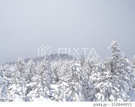 冬のストック素材|樹氷・霧氷が輝く雪原 冬のストック素材|樹氷・霧氷が輝く雪原 132644953