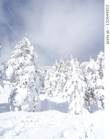 冬のストック素材｜樹氷・霧氷が輝く雪原 132644955