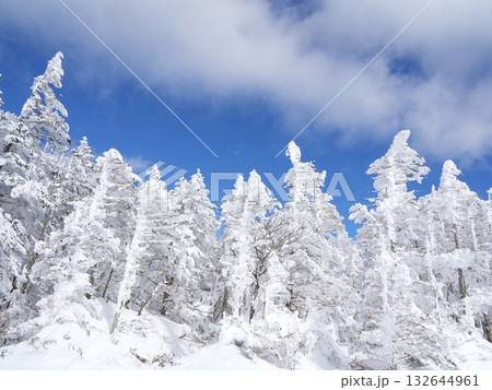 北八ヶ岳の白銀世界|ロープウェイで行く晴天の山頂・青空・雪景色 北八ヶ岳の白銀世界|ロープウェイで行く晴天の山頂・青空・雪景色 132644961