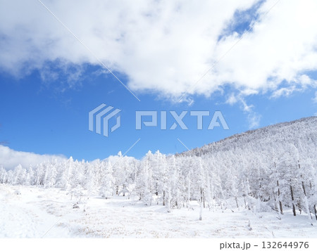 北八ヶ岳の雪山パノラマ|晴天の青空・太陽・ロープウェイ 北八ヶ岳の雪山パノラマ|晴天の青空・太陽・ロープウェイ 132644976
