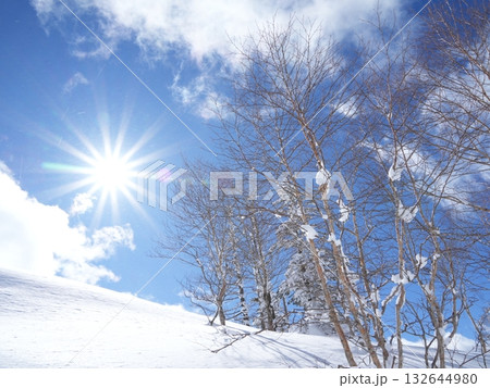 冬の素材｜白銀の雪景色と青空 132644980