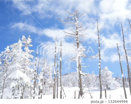 冬のストック素材｜樹氷・霧氷が輝く雪原 132644994