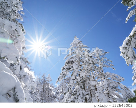冬の素材|白銀の雪景色と青空 冬の素材|白銀の雪景色と青空 132645002