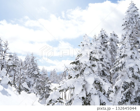 冬のストック素材｜樹氷・霧氷が輝く雪原 132645044